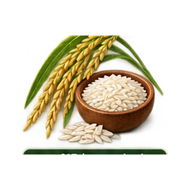 Long Grain Rice guide illustration